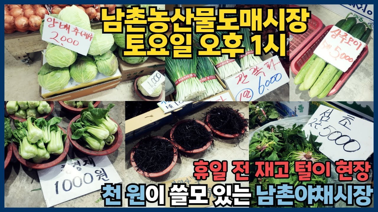 수도권에서 야채를 싸게 사는 방법 남촌시장 실제 가격은?