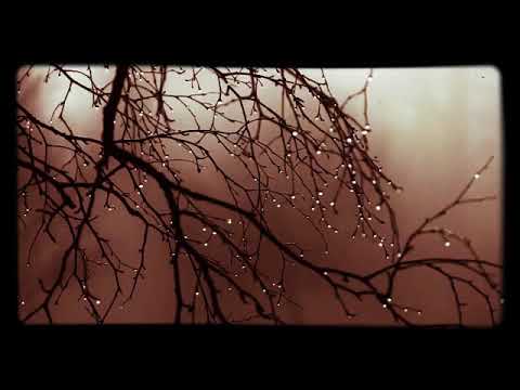 صوت المطر للمونتاج بدون حقوق الطبع والنشر