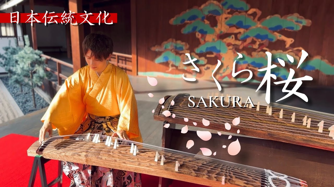 【日本伝統】能舞台でお箏『さくら桜』 / (sakura,Japanese traditional,kimono)