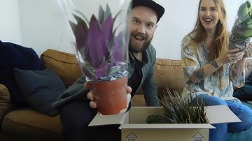 Vlog #1: kneusjes