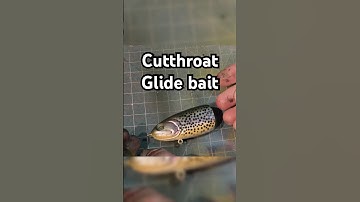 I made a Cutthroat Trout Glide bait #fishinglure #lurebuild #baitmaking #bassfishing #glidebait