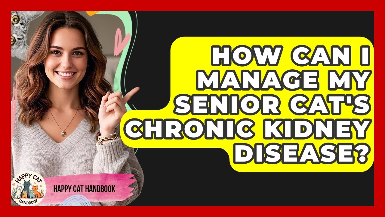 How Can I Manage My Senior Cat's Chronic Kidney Disease? | Happy Cat Handbook