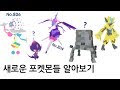 요즘 포켓몬스터는 이렇게 생겼다 # 도감번호 803번부터 807번까지