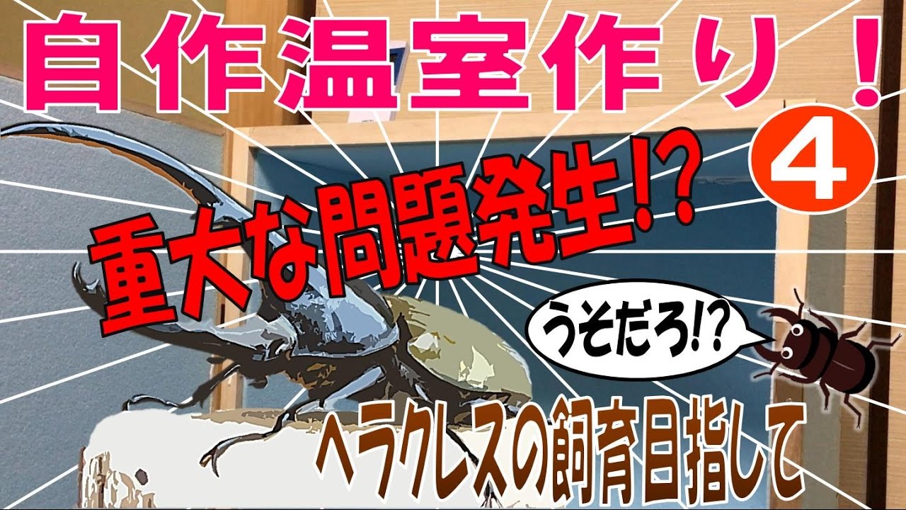 昆虫採集☆カブトムシ☆クワガタムシ 自作温室制作4 重大な問題発生