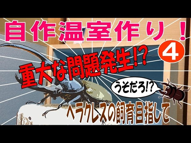 昆虫採集☆カブトムシ☆クワガタムシ 自作温室制作4 重大な問題発生