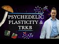 Psychedelics promote brain plasticity by binding to trkb receptors