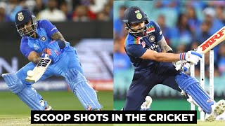 Top 7 scoop/ramp shots in cricket || Eagle cricket