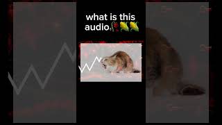 What is this audio bro🥀 #gd #geometrydash #meme #funny #memes #jokes