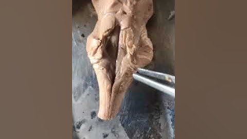 Dr. Pratheepa’s tutorial- Brainstem spotters