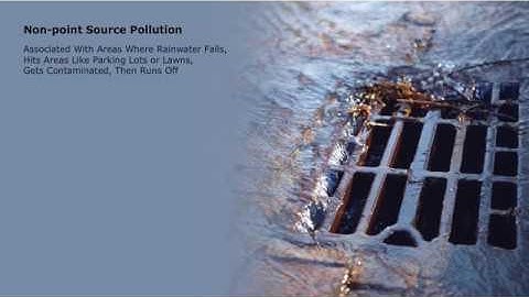 Stormwater Pollution