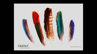 What is Sustainable Design Its Advanced Architecture Technology - OpDes Architecture
