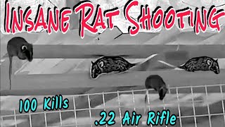 Insane Rat Shooting • 100's of Rats • Best thermal hunting setup