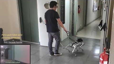 "Tefi" Robot guide dog for people with disabilities (blind people, senile dementia)