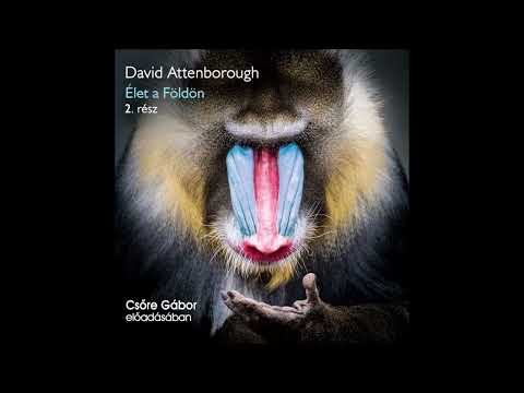 David Attenborough: Élet a Földön 2. rész Csőre Gábor előadásában (Élet az ágak között)