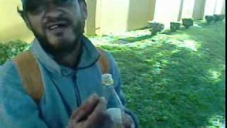 Butina Vegetando Do Lado Do Tozzeto.