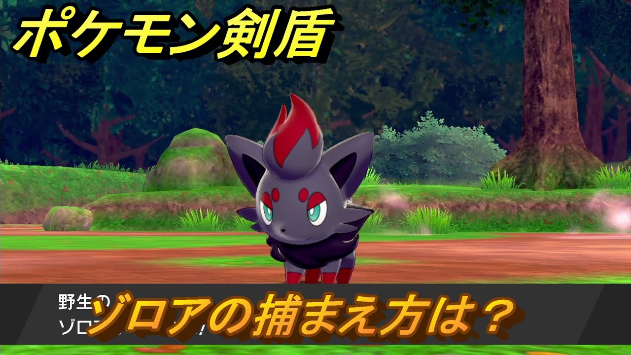 ポケモン剣盾 ゾロアを捕まえる方法 オススメの場所は 天気は ポケモン図鑑コンプへの道 最新版 ポケモンソード シールド Youtube