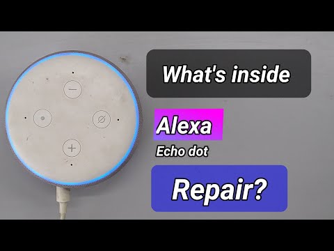 Alexa Echo Dot Stop Playing?
