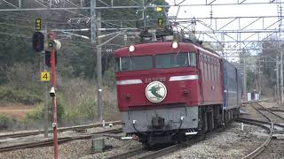 41レ　はやぶさ　ED76-69牽引(2009-01-31)