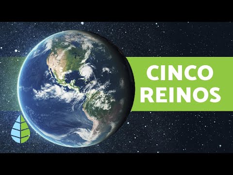 Los 5 REINOS de la NATURALEZA 🌍 y sus Características (para Niños)