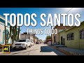 Top 10 things to do in todos santos mexico  baja california sur