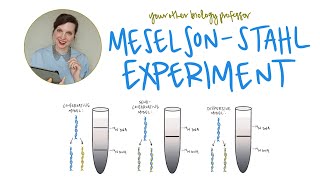 Semiconservative DNA Replication: Meselson-Stahl Experiment Explained!