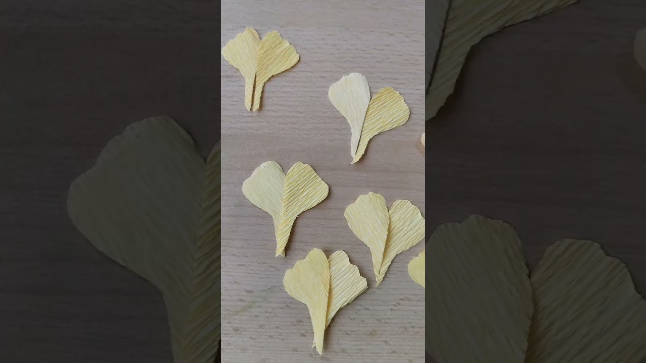 Dacă acestă crenguța de ginkgo biloba reprezinta interes și doriți un video explicativ, lăsați com