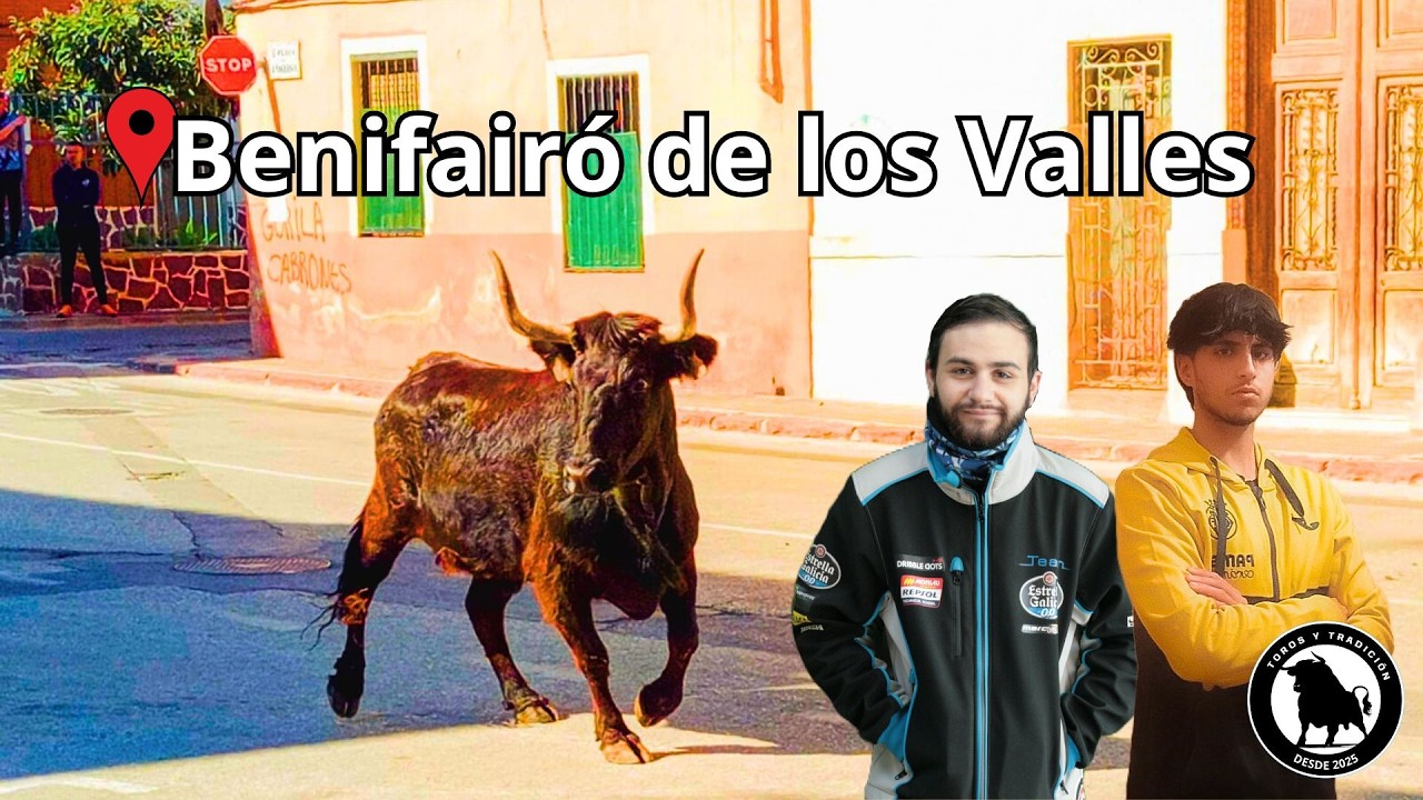 Toros Benifairó de los Valles!! Matinal de Capota!! 21-02-2026