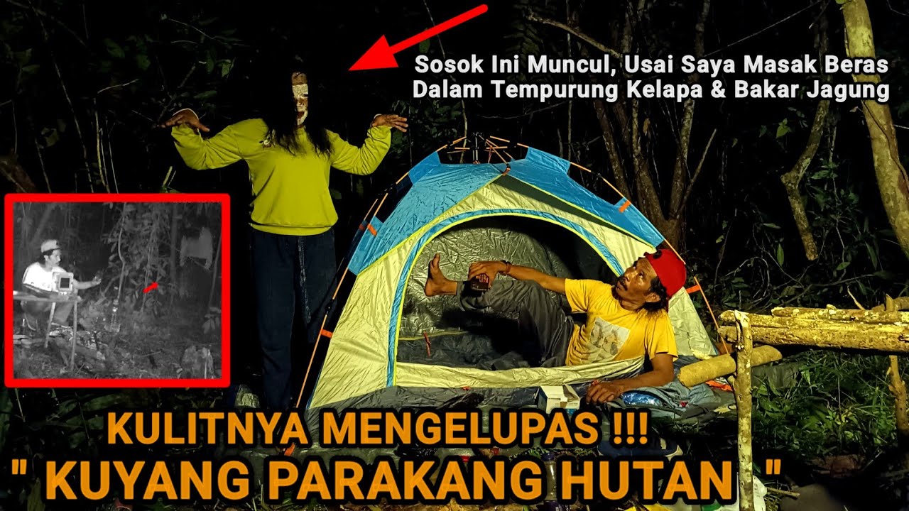 HOROR‼️PENAMPAKAN SOSOK KUYANG PARAKANG DITENGAH HUTAN SAAT SOLO CAMPING TERTANGKAP CAMERA! 