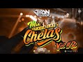 Mix Cumbias VOL #2  (Claveles De La Cumbia ,La Unica Tropical ,Armonia 10 ,Papillon) DJ JHON SALAZAR