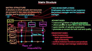 Matrix Organisational Structure | Organisational Design | MeanThat