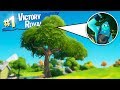 Fortnite, But Staying In a Tree All Game..