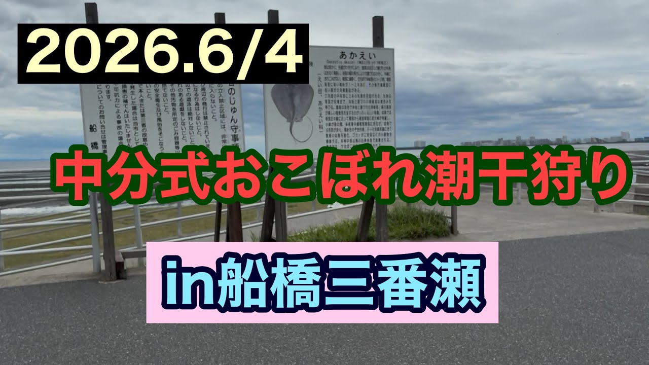 6/4/2026] Nakawake-Style Scavenger Clam Digging! Funabashi