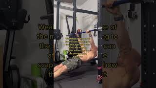 Scapular rows strengthen the major scapular muscles for better shoulder function