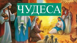 Чудеса / Пророк Иса (Иисус) / Плейлист &quot;Исламские истории&quot;