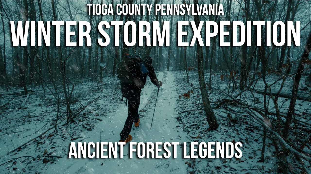 Экспедиция в лес, вдали от цивилизации, во время зимней бури: дикая природа Пенсильвании.