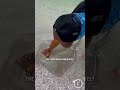 Fisherman Hooks Stingray… Then Sees 3 Babies Born!