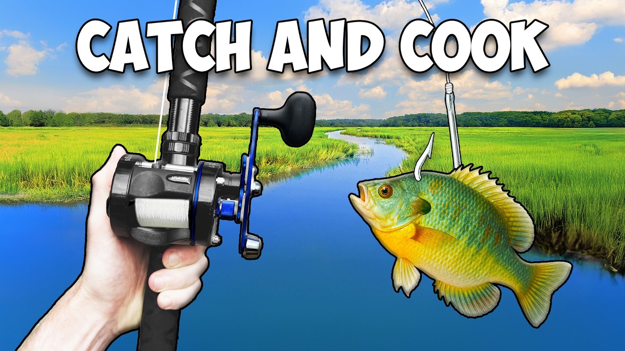 Giant Livebait Catch and Cook Challenge