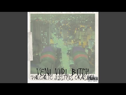 Veni, Vidi, Bitch (Feat. Paloalto (팔로알토) , Okasian (오케이션)