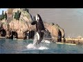 Orca Encounter (Full Show) at SeaWorld San Diego 11-14-20