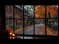 No Ads | Watching Autumn Rain Outside the Window – Fall Ambience for Calm Nights