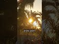 Bom dia pessoal