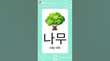 Bảng chữ cái tiếng Hàn 한글 자모 (P4) #shorts