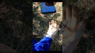 Закопал клад серебра #старина #поиск #находки #барахолка #заработок #коп #metaldetecting #монеты