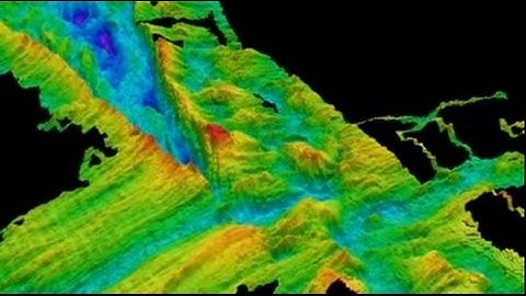3D fly-thru of the Rodriguez Triple Junction in the Indian Ocean