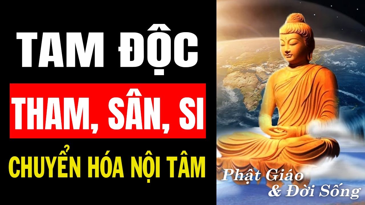 TAM ĐỘC (THAM - SÂN - SI)  & CHUYỂN HÓA NỘI TÂM | PHẬT GIÁO