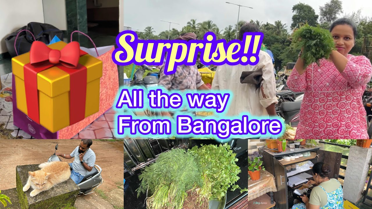 Gift 🎁❤️all the way from Bangalore|My favourite vege in the market|Shoe rack arranging|Sunday Market