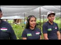 Sembrando Vida y Jovenes Construyendo el Futuro en Michoacán