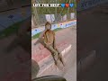 Life for help 💙❤️💙 #shorts #viral #feedshorts #help #youtubeshorts #king #love