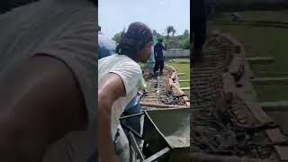 Brave Heart Pakistanis