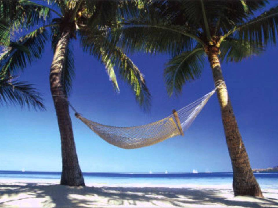 Tropical Harp - Youtube History <b>Tropical beaches.</b> Tropical harp - YouTube.</p> Tropical Harp - Youtube History <b>Tropical beaches.</b> Tropical harp - YouTube.</p>